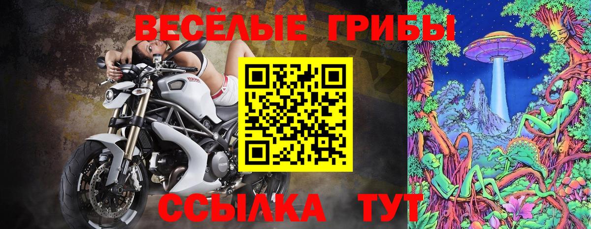 Набережные Челны  купить   Вход с VPN  Галлюциногенные грибы Psilocybine cubensis 
